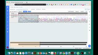 Sequence Analysis Protocol - Assess Sequence Quality - Benchling Netbook