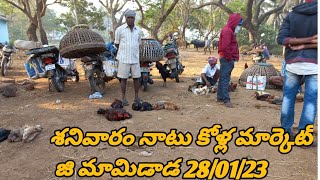 Saturday Nattukollamarket || శనివారం నాటు కోళ్ల మార్కెట్ జి మామిడాడ || Kollamaket 28.01.23