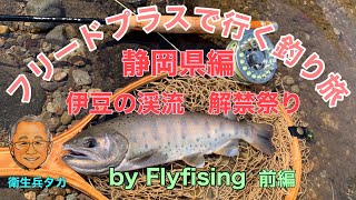 【フライフィッシング】フリードプラスで行く釣り旅　静岡県河津川解禁（前編）【FlyFishing】