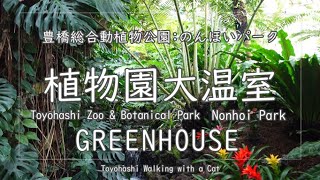 【おでかけ】植物園大温室 ～豊橋総合動植物公園：のんほいパーク～ GREENHOUSE ～Toyohashi Zoo \u0026 Botanical Park : Nonhoi Park～ (愛知・豊橋)