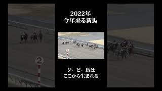 【2022年に来る新馬】1月15日 中京 3歳新馬戦 ナパージュケイク【今年のダービー馬はここから生まれる】 #shorts