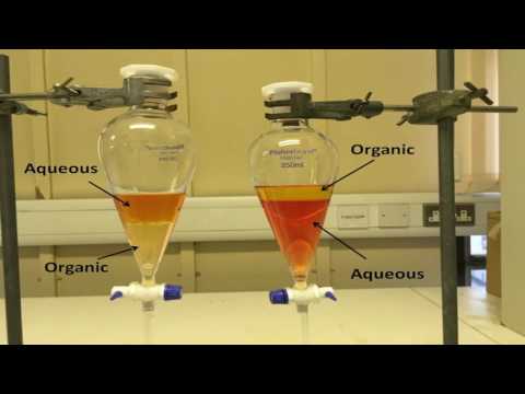 What is the organic layer in separatory funnel?