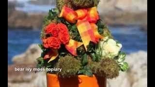 Fresh Topiary Bears, Topiary Cats, Topiary Rabbits, Topiary Dogs and More