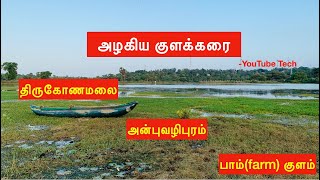 அழகிய குளக்கரை | திருகோணமலை | அன்புவழிபுரம் | பாம்(farm) குளம்.