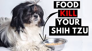 21 Human Foods That Can Be Toxic For Your Shih Tzu