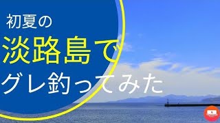 【ウキ釣り】淡路島でグレ（メジナ）釣りしてみた！