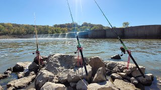 Fall River Fishing for cold water Catfish using Fresh Cut Bait!