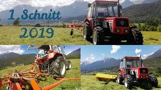 Heuernte in Tirol|1.Schnitt 2019|Lindner\u0026Steyr [GoPro]