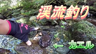 【青森県】ミノーで渓流釣り「イワナ」