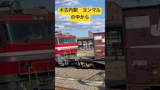 貨物がきたー！木古内駅キハ40から#鉄道 #jr北海道 #hokkaidou #shorts #short #キハ40 #列車 #貨物