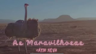 As Maravilhosas - Cátia Silva (Cover Aiué do Roça Roça - Némanus)