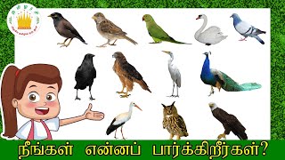 *NEW* Birds Name in Tamil | Kids Song |What Do You See? Song |Animals Name and Sounds|Tamilarasi