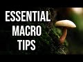 Essential macro tips I wish I'd known earlier