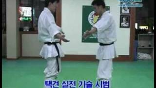 Taekkyon Techniques by Master Moon Young-Cheol (문영철 선생님)