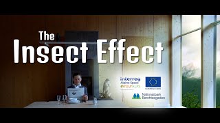 The Insect effect