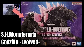 S.H. Monsterarts Godzilla -Evolved- Godzilla X Kong the new empire (Review)