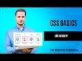 Mastering CSS Specificity