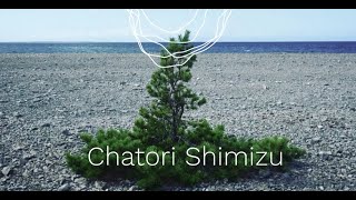 Bonsai Modulation - Chatori Shimizu