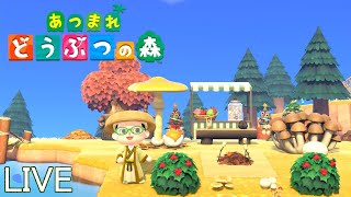 あつまれ どうぶつの森 248日目【あつ森】