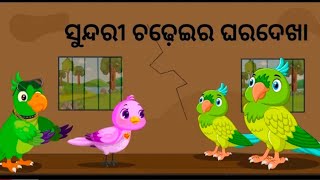 ସୁନ୍ଦରୀ ଚଢ଼େଇ ର ଘର ଦେଖା !!! Sundrari Chadei ra Ghara Dekha !!!! Odia story !!!Bird  Story.......