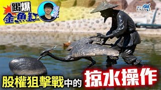 20171024 踢爆金魚缸：股權狙擊戰中的掠水操作