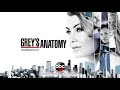 tribute to arizona robbins grey s anatomy