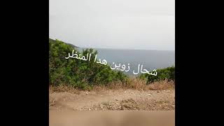 دويرة في البحر