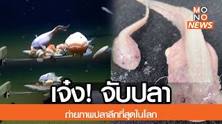 เจ๋ง! จับปลา-ถ่ายภาพปลาลึกที่สุดในโลก | Goodmorning Thailand | 4 เม.ย. 66