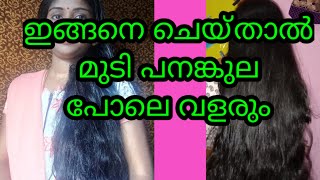 മുടി പനങ്കുല പോലെ വളരാൻ ശ്രദ്ധിക്കേണ്ട ചില കാര്യങ്ങൾ || hair growth tips || malayalam // #hairgrowth