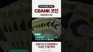 크립토뱅크 코인 CBANK 주식 리딩비 보상은 없었다