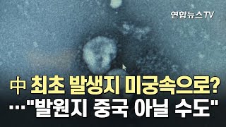 中 최초 발생지 미궁속으로?…\