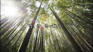 【朗読】竹/萩原朔太郎/＠村タ奈放送局