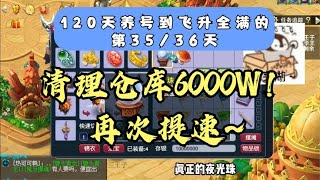 梦幻西游：120天养号到成品的第35和36天，4天吃到13级宝宝修