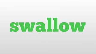 swallow meaning and pronunciation