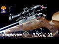 Daystate Huntsman Regal XL Air Rifle