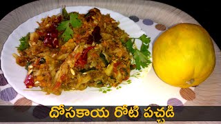 Dosakaya Roti Pachadi in Telugu | Cucumber Chutney దోసకాయ రోటి పచ్చడి ఇలా చేస్తే రుచి అదిరిపోతుంది