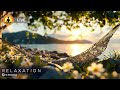 🔴 Zen Relaxation Music 24/7, Relaxing Nature Music, Stress Relief Music, Meditation Music, Sleep