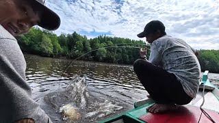 First fishing trip 2 days 1 night got lucky fish as big as pillow