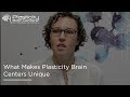 What Makes Plasticity Centers Unique