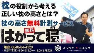 無料まくら計測サービス「はかって寝」zzz