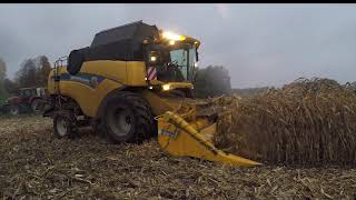 New Holland CX 7090 au battage de mais grain