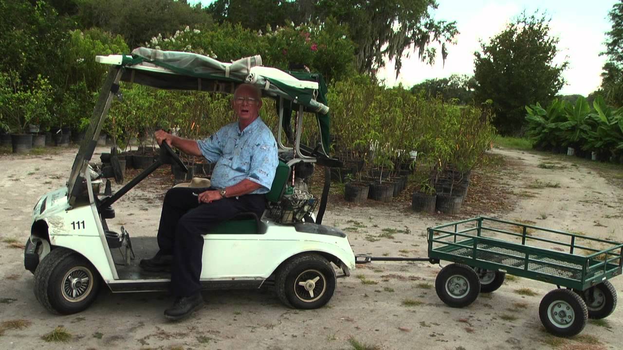 How To Grow Organically Youtube