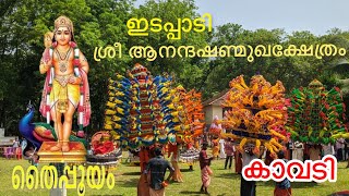 പാലാ -ഇടപ്പാടി ശ്രീ ആനന്ദഷണ്മുഖക്ഷേത്രം|തൈപ്പൂയം -2023|കാവടിയാട്ടം|4K|