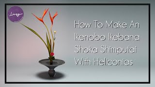 Ikebana Shoka Shimputai 1 Ikebana Ikenobo Shoka Shimputai With Heliconias