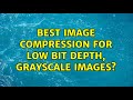 Best image compression for low bit depth, grayscale images?