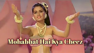 Mohabbat Hai Kya Cheez | Prem Rog | Lata Mangeshkar Suresh Wadkar Full Video Song