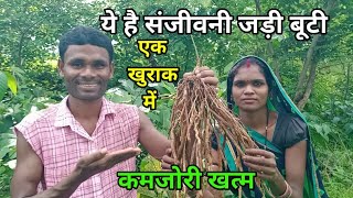 गांव का ये जंगली जड़ी बूटी किस्मत वालों को मिलता है।tasty traditional food। Shyamji Vlogs