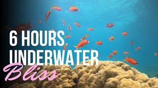 6 Hours of Underwater Bliss – Relax with Piano Covers from Pulau Weh, Indonesia