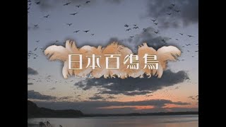 『日本百鳴鳥 にほんひゃくめいちょう／映像と鳴き声で愉しむ野鳥図鑑』トレーラー・本編 ver.