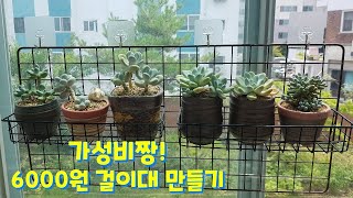 succulent plant. ,아파트베란다 걸이대 만들기, 가성비짱 6000원으로 걸이대를 만들어 보았어요, 너무 괜찮네요 ㅎ